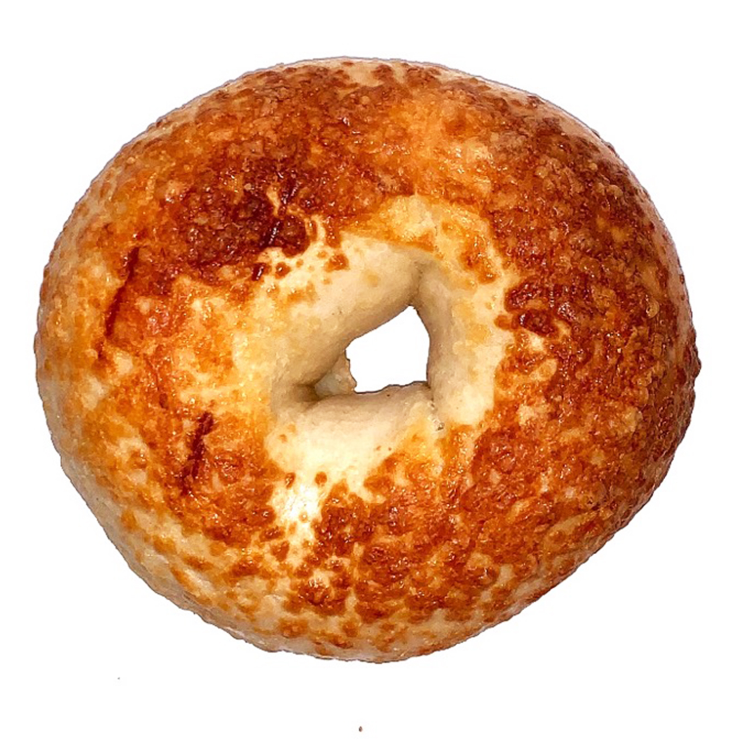 Asiago Bagel